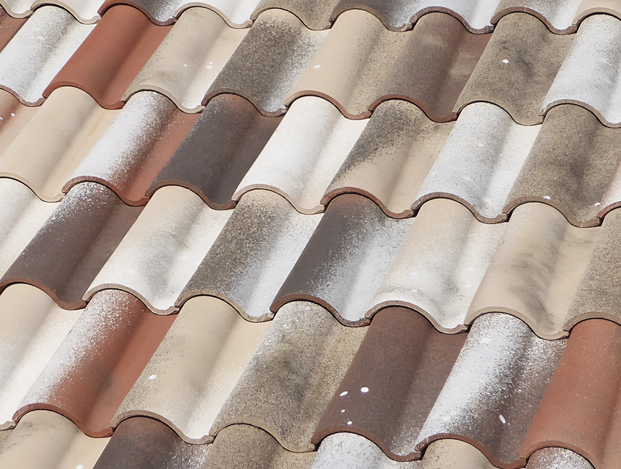 tejas-img