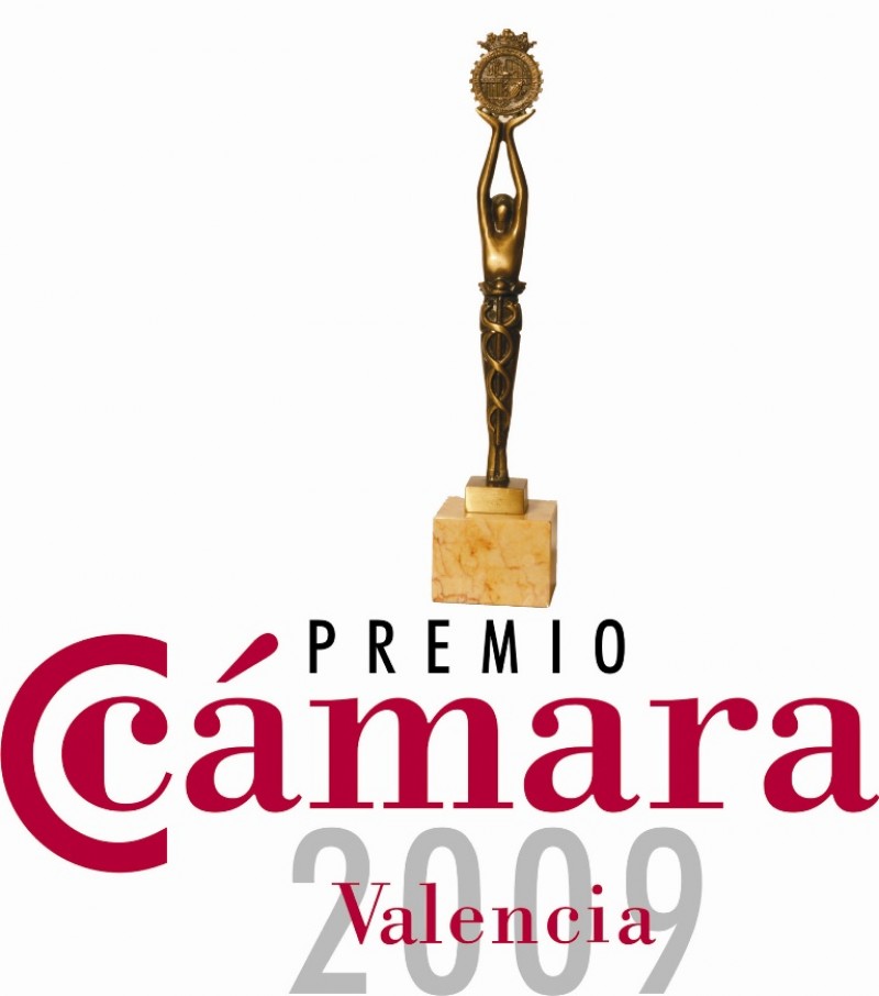 LogoPremioInternacionalizacion LogoPremioInternacionalizacion
