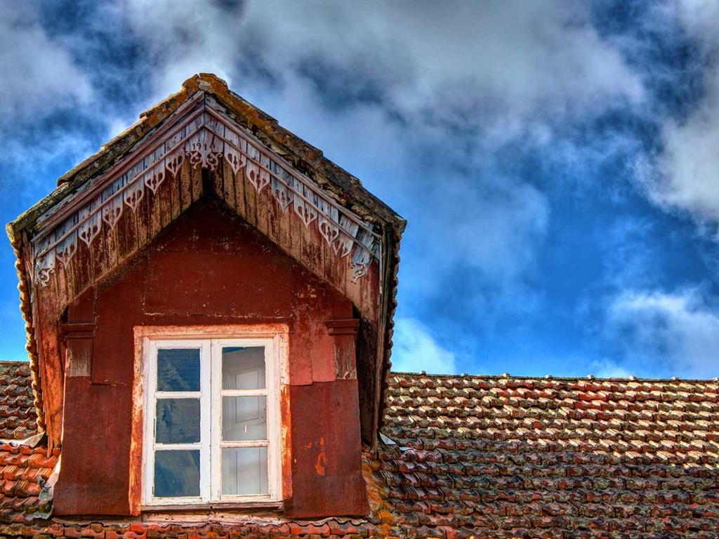 El verdín en el tejado